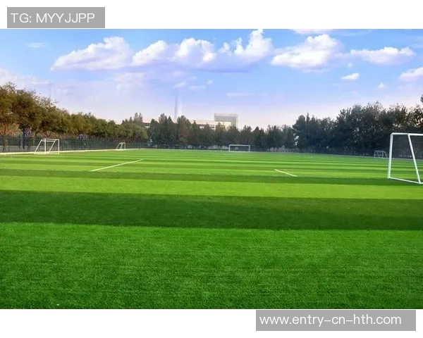 探索室内五人制足球场地的设计理念与建设要点助力足球运动发展